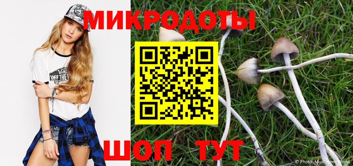 Галлюциногенные грибы Psilocybine cubensis Серпухов