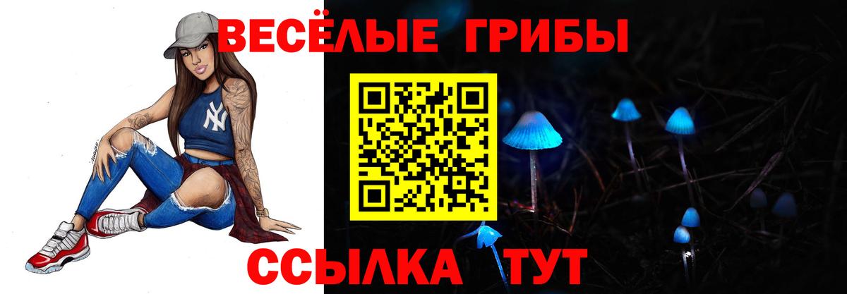 Серпухов  закладка  Вход с VPN  Галлюциногенные грибы GOLDEN TEACHER  Галлюциногенные грибы Magic Shrooms 